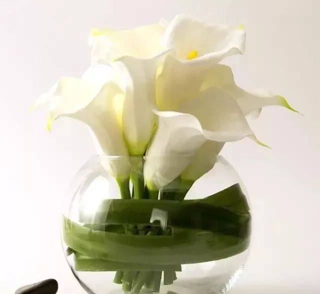 100种常见插花花材汇总!用鲜花妆点你的家