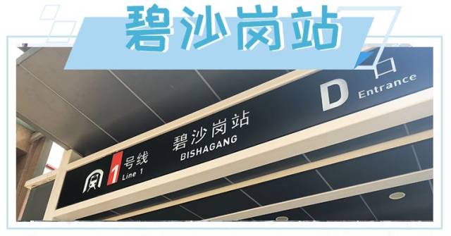 潮妹儿第一次来碧沙岗 就是冲着四厂附近的美食来的