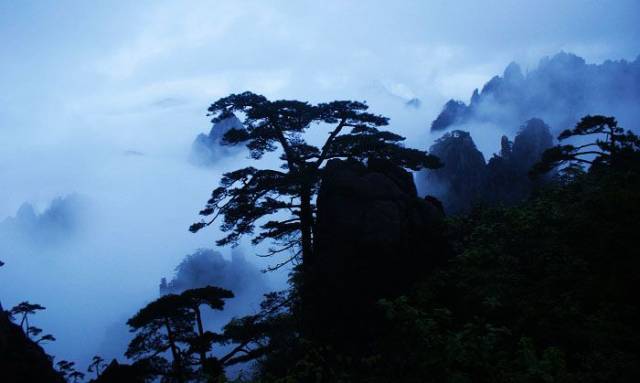 黄山芙蓉峰图片