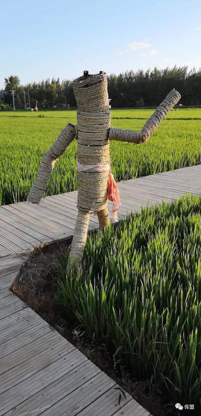 鲜米银行粮源地实况直播