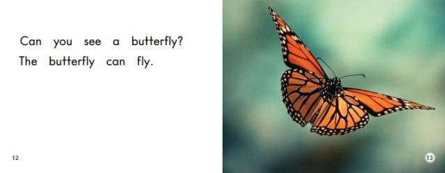 朱小迪英语故事:things that fly(那些会飞的动物)