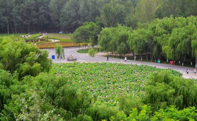 玛河公园位于石河子市东郊,于2001年开工建设,是一座弘扬红色军垦文化