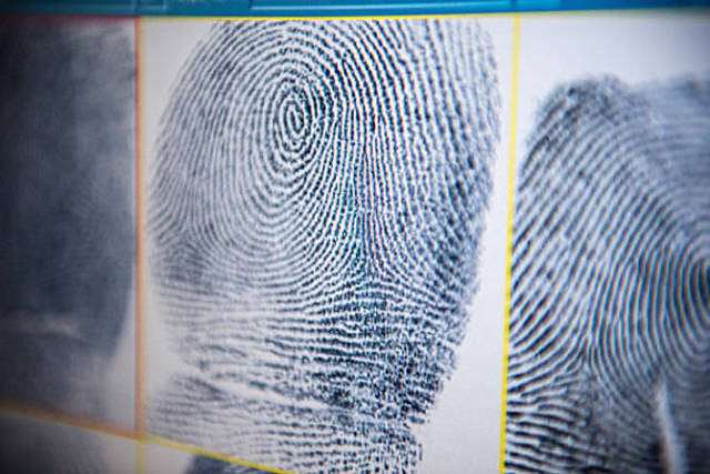 科学家指出世界上会有两枚重复的指纹指纹鉴定告诉你真相