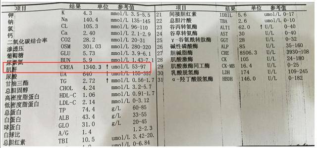 血肌酐超過這個數,尿毒症盯上你,降肌酐3個方法很靈