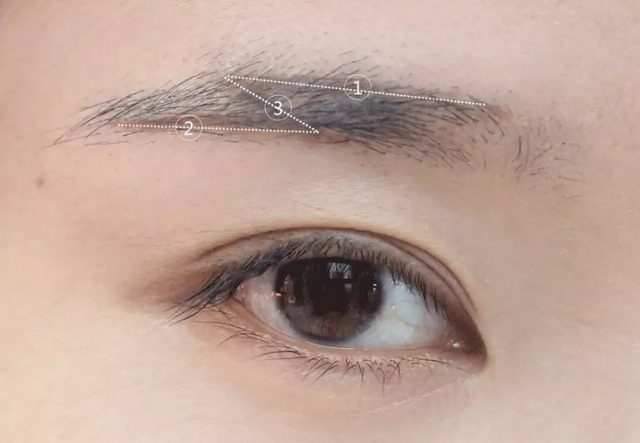 第二步:将眉峰的位置和眉尾的位置连起来.