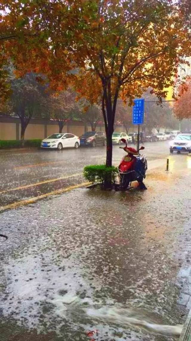 一会功夫,朋友圈就开始 皮了 ▼ 这场豪放派的倾盆大雨,瓢泼大雨 还