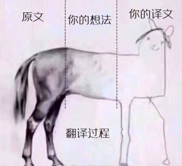 表情包英文翻译图片