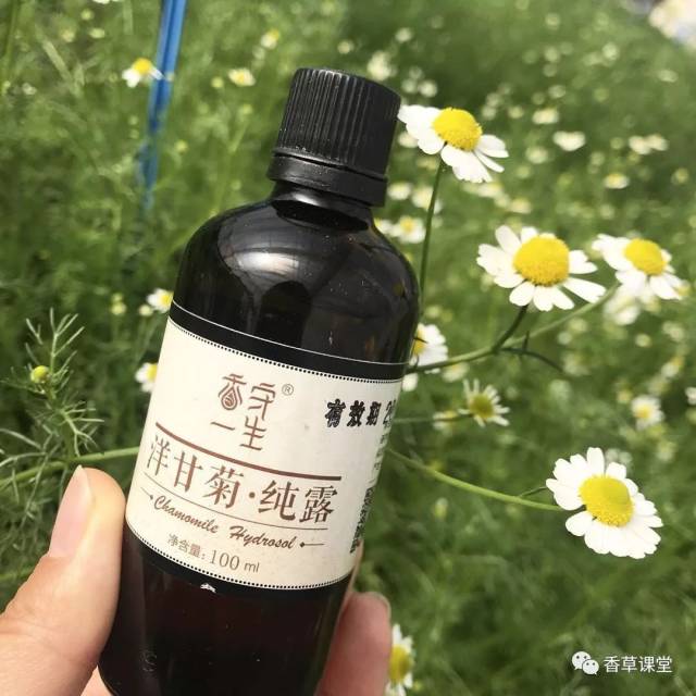 迷迭香纯露