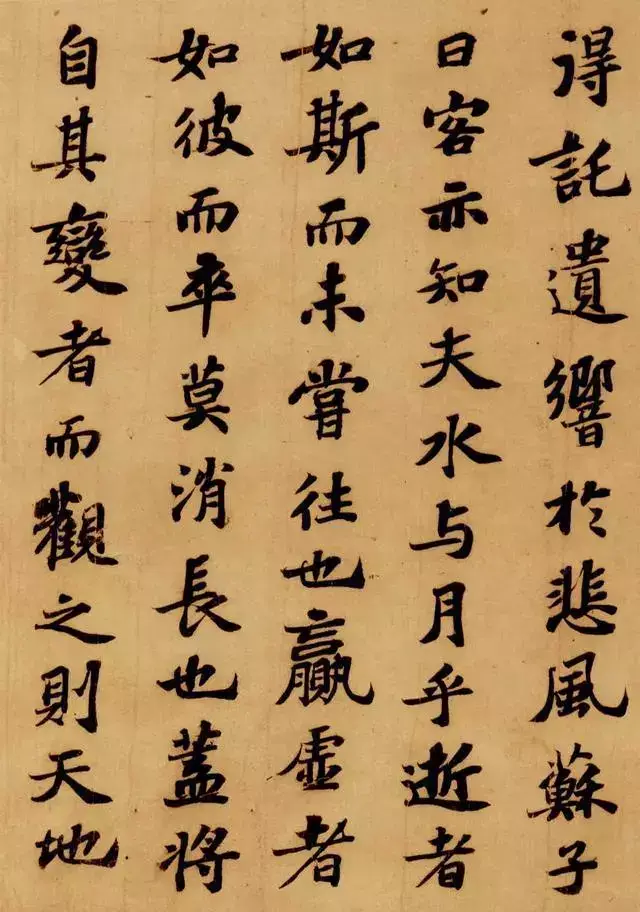 书法大家书写苏轼的《赤壁赋,高中课文的名篇没白学