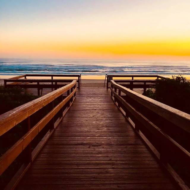 在黄金海岸跑跑跑跑跑跑跑跑