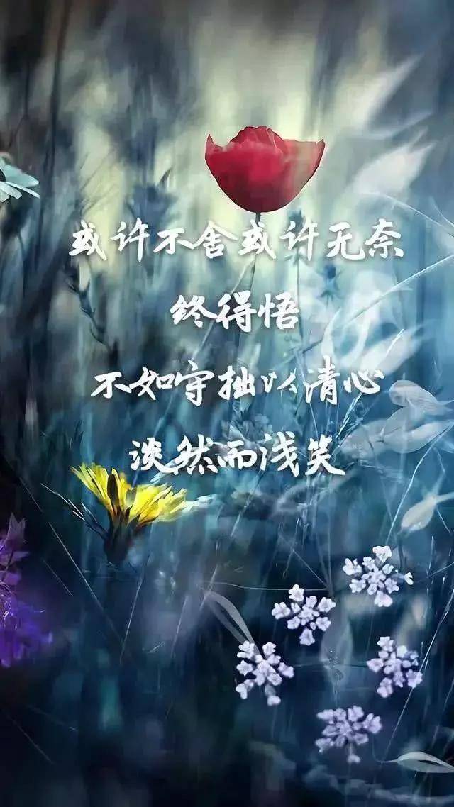 六个句子,执着是一种负担,甚至是一种苦楚