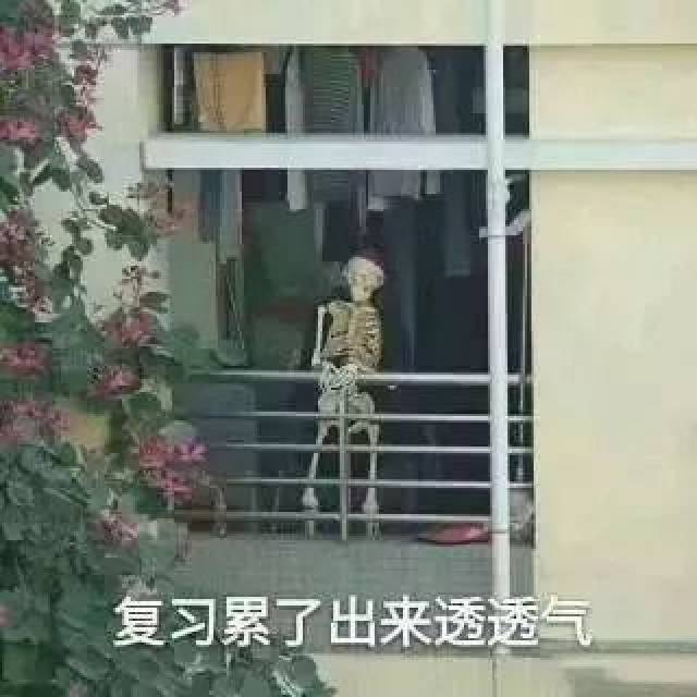 学医表情包 好累图片