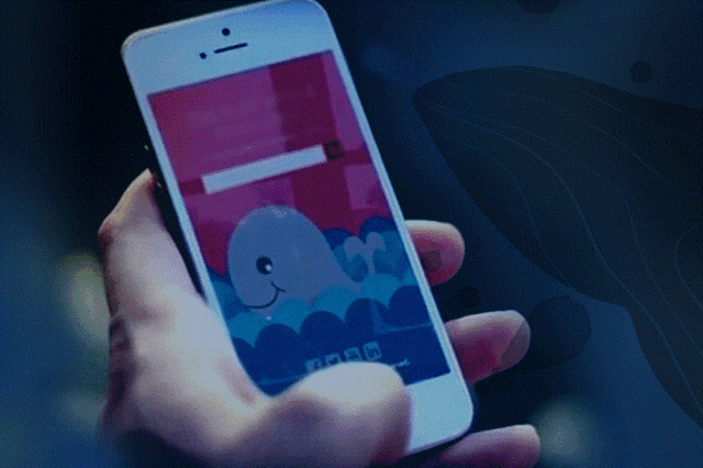 blue whale 蓝鲸挑战 "蓝鲸挑战"(blue whale)游戏起源自俄罗斯山交