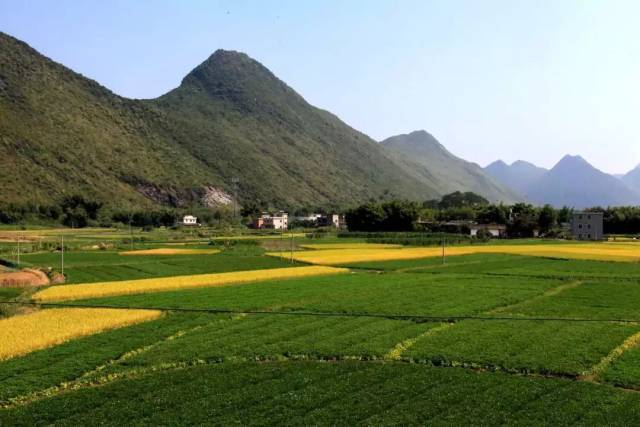 連平人 連平這些地方你見過嗎?-旅遊頻道-手機搜狐