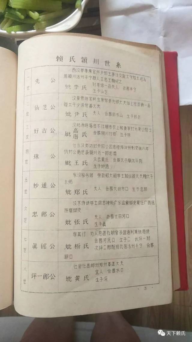 松阳赖氏家谱图片