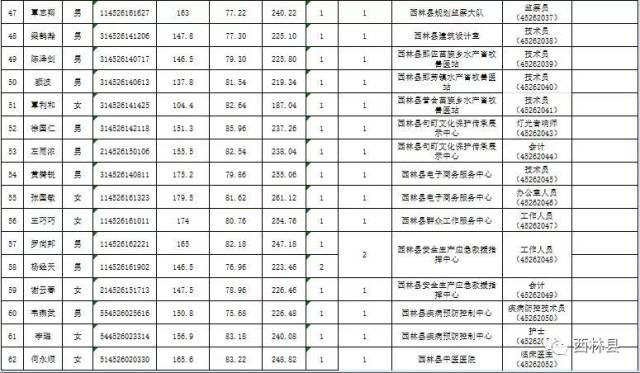 西林人才网:连接梦想与机遇的新桥梁