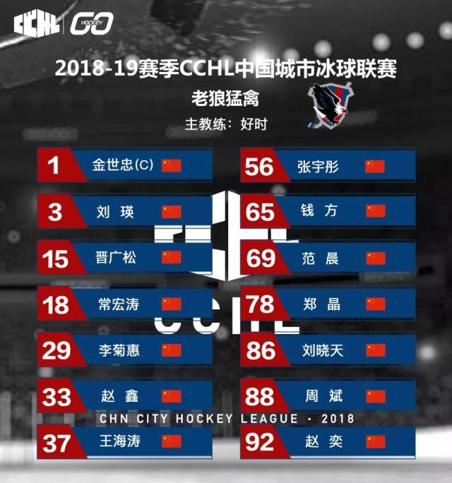 公告| 2018-19赛季cchl中国城市冰球联赛球队及球员名单公布