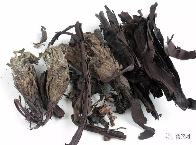 而正品软紫草未来之路又在何方?