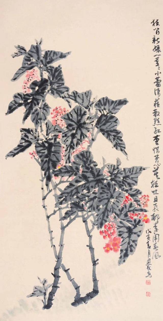 竹节海棠 规格65×130