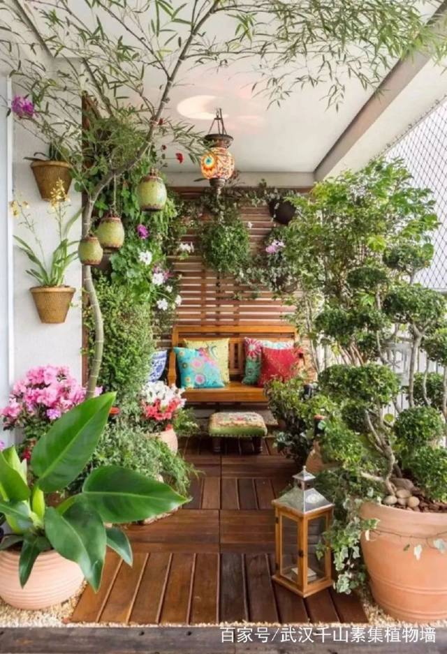 但考虑到晾衣服的作用,阳台种花,种菜变成了一个遥不可及的梦想.