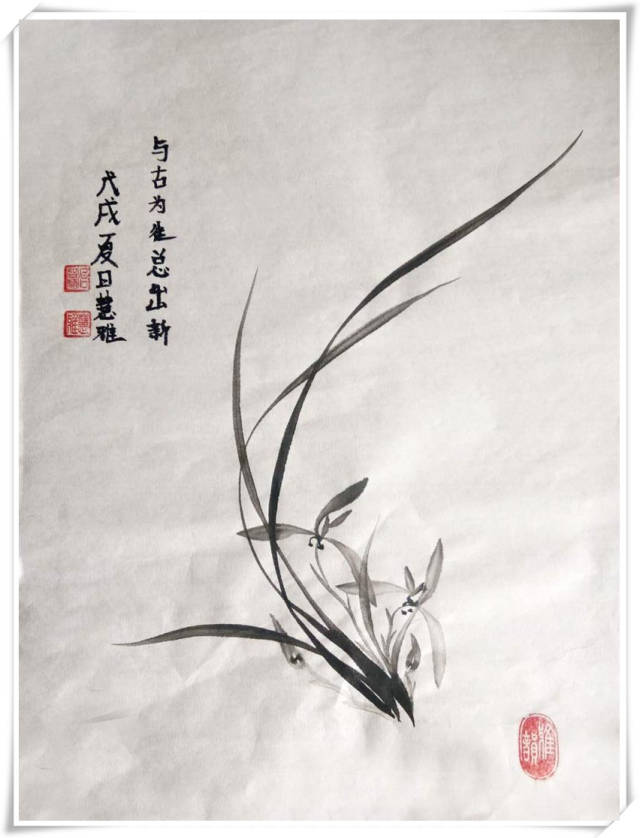 走进放牧姑娘"冶智兰"画兰缘梦路