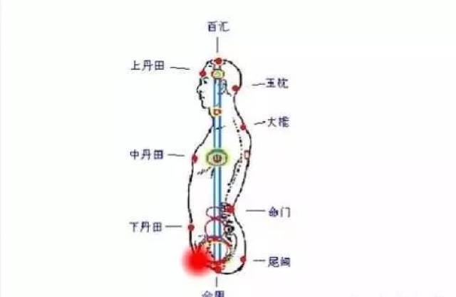 人体关窍示意图图片