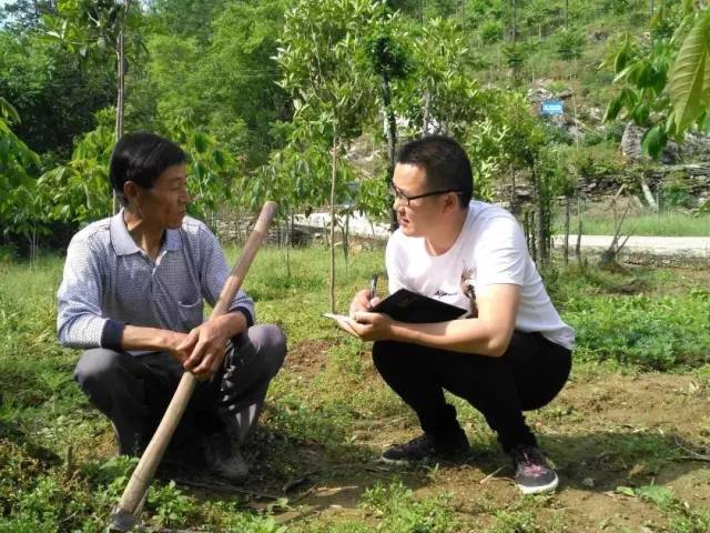 扶贫一线三张牌出手上李坪村走上致富路