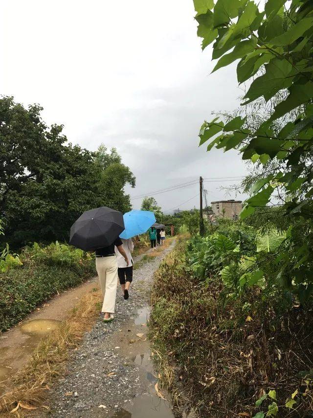 灯塔工程暑期三下乡活动追光本草队龙门甘坑村调研行动