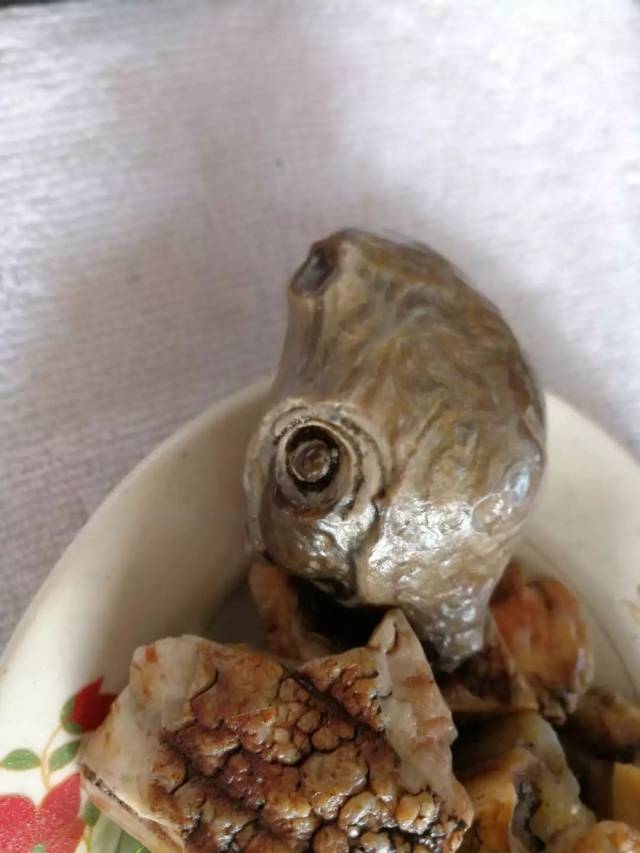 【宝贝名称】石头菜,鱼 正常鲤鱼大小 【价 格】980元