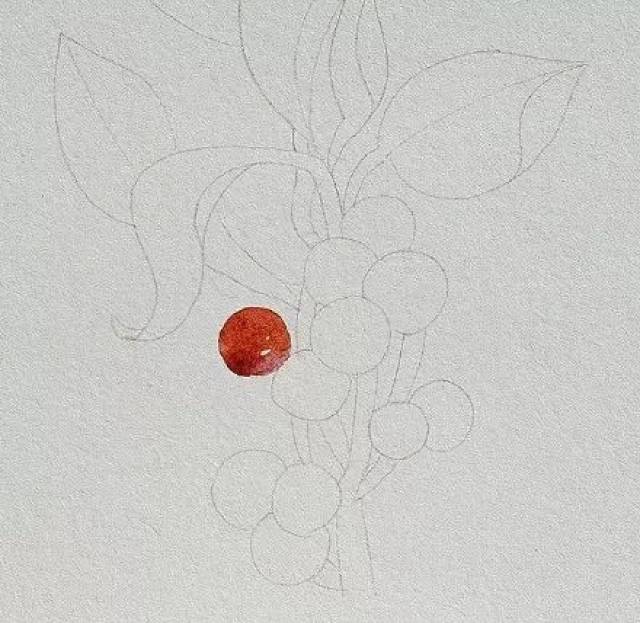 三分钟学画 | 水彩画火棘了解一下