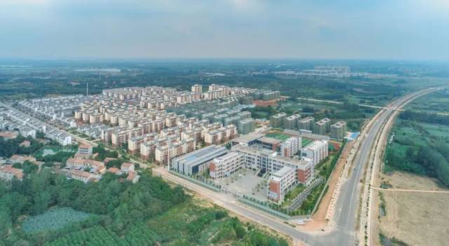 鄂州市统计局来梧桐湖新区调研