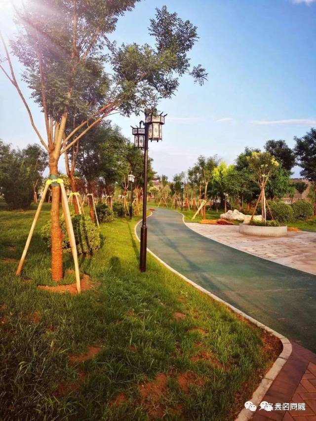 大名古城护城河公园又爆出"靓"照,这次更震撼!