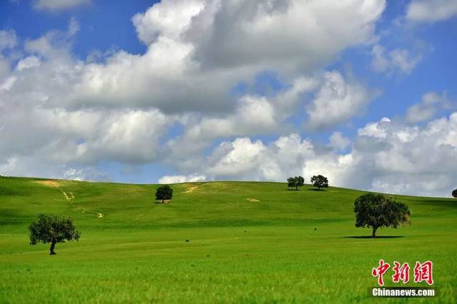 盛夏的内蒙古有着一望无际的碧色原野整个大地仿佛披上了一袭绿色的