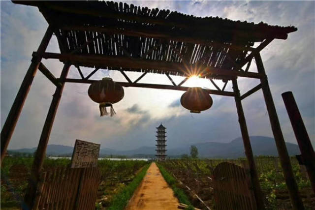 大冶首届龙凤山红色文化旅游节将于8月1日开幕