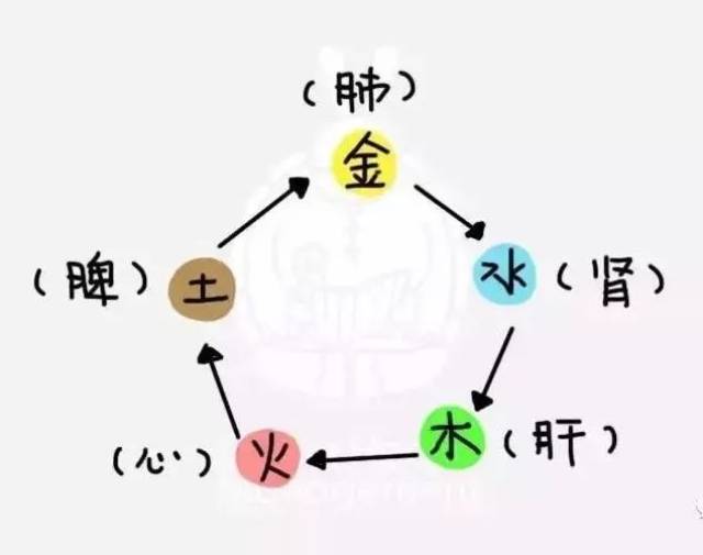 运化 搜狐网