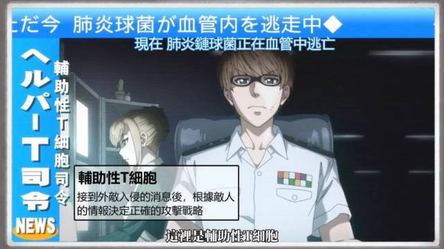 豆瓣9.2,热血格斗动漫:《工作细胞》必须要看的