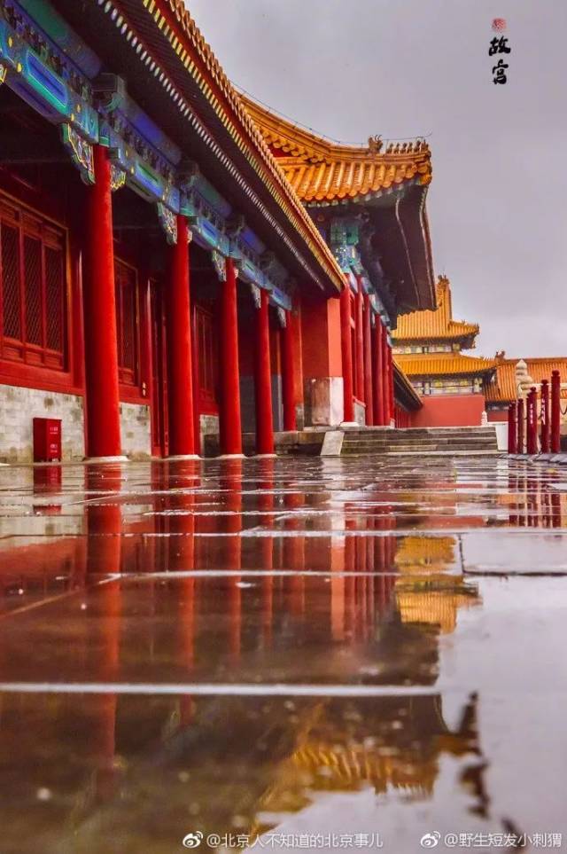 如梦似幻积水寸许,波平如镜一场雨过又是一次意外之喜骤雨初歇的故宫