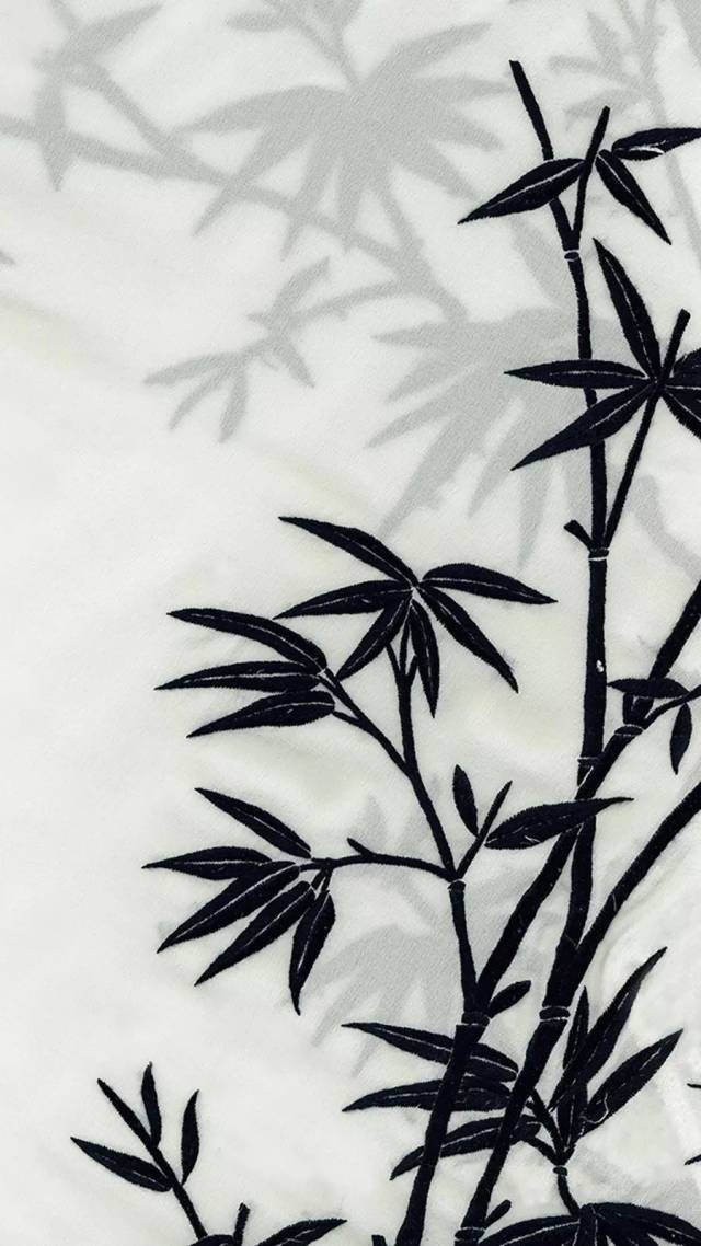 真丝竹叶刺绣v领透视上衣