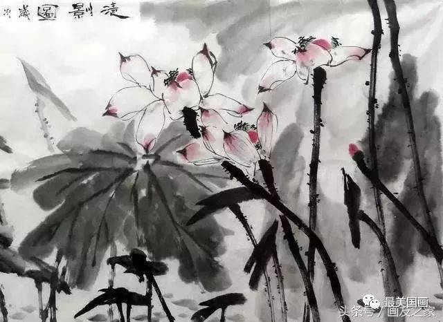 中国画技法之写意荷花画法步骤，写意荷花画法示范！_搜狐网