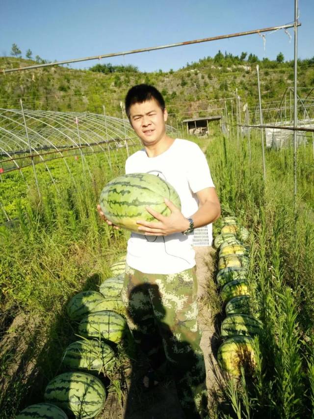 90后退伍军人李凯回乡创业当起"现代农业兵",致富不忘乡邻!