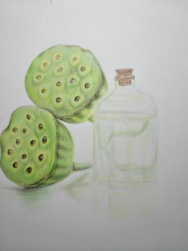 零基础学彩铅第十四课:莲蓬彩铅手绘过程分享