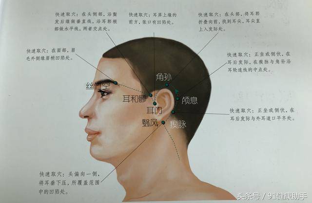 人体耳朵后面结构图图片