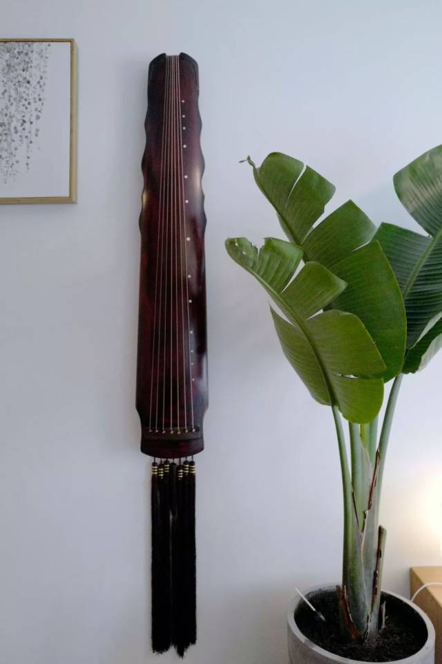 女主的古琴挂在墙上, 配上芭蕉,成了最风雅的小景.