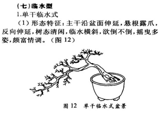 两种邻水式盆景制作图解