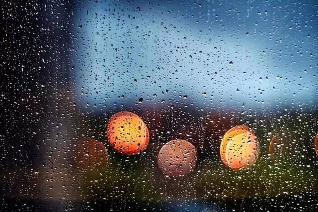 小冷讲堂 | 潮湿天气,如何保护冷柜不受水汽侵蚀?