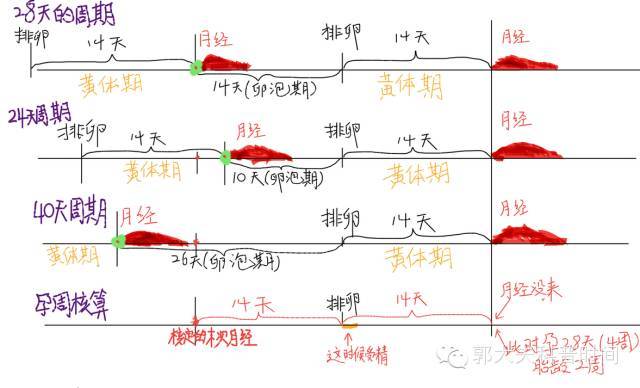 月经规律怎么算孕周?