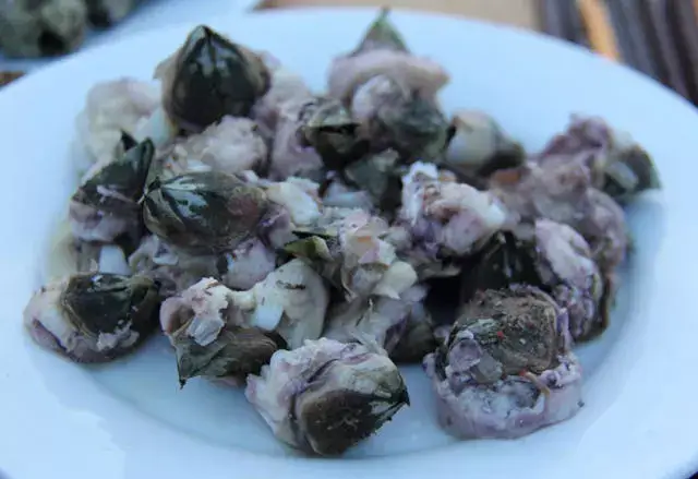 这种藤壶之所以十分遭人嫌弃,就是因为它真的长的太丑了,这种藤壶一般