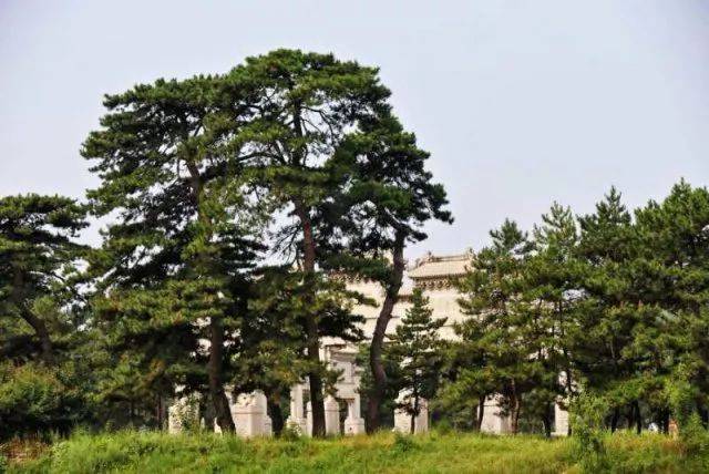 2016 年,易县清西陵古松林康养公园获得 " 中国森林养生基地 " 称号.