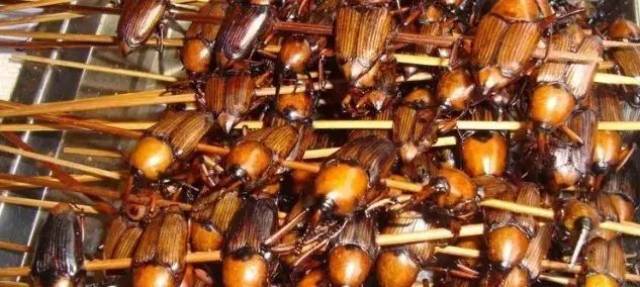 有多少人小时候玩过,吃过的举手!