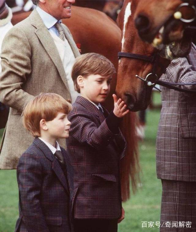 戴安娜王妃和哈里王子,威廉王子的温馨照,哈里王子小时候喜欢当众吐